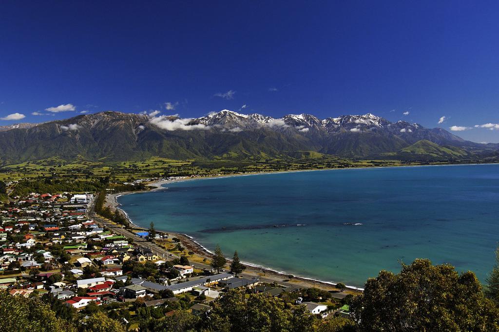 The White Morph - Heritage Collection Kaikoura Luaran gambar