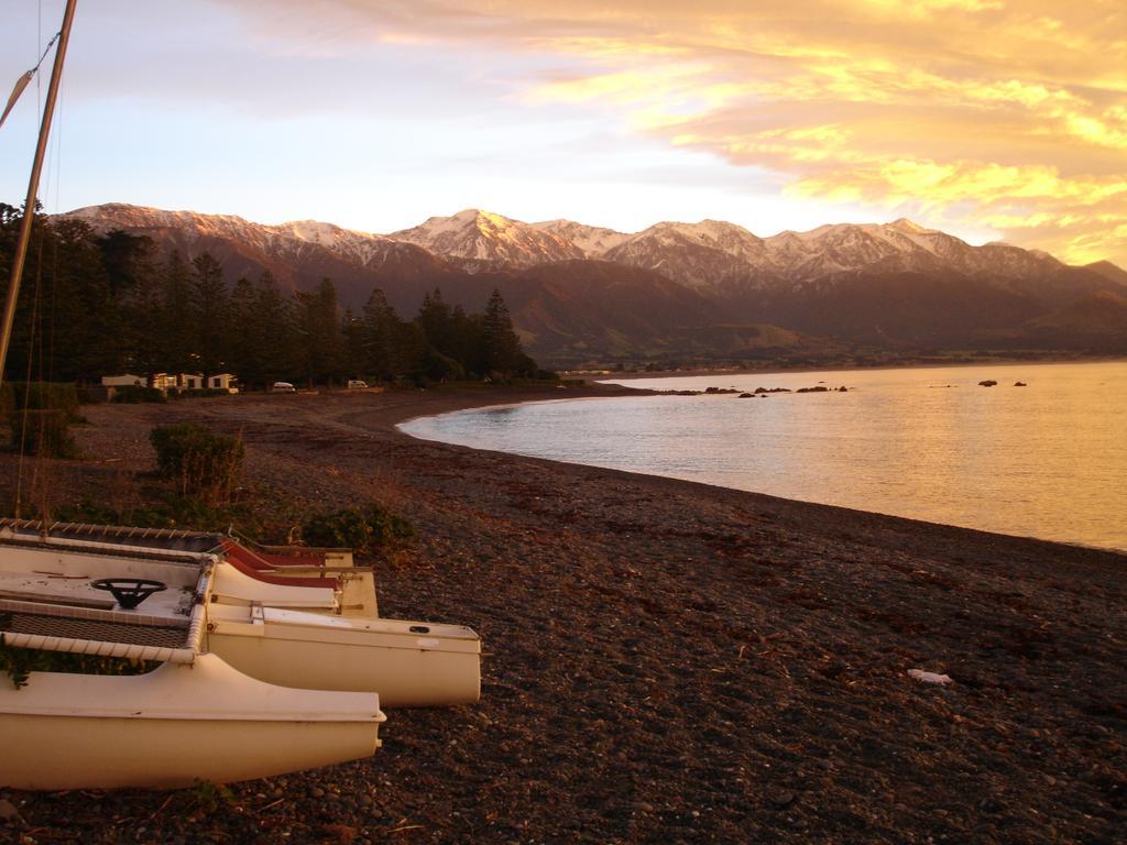 The White Morph - Heritage Collection Kaikoura Luaran gambar